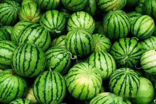 庄河最新吃瓜事件视频大全,视频大全揭秘惊人真相