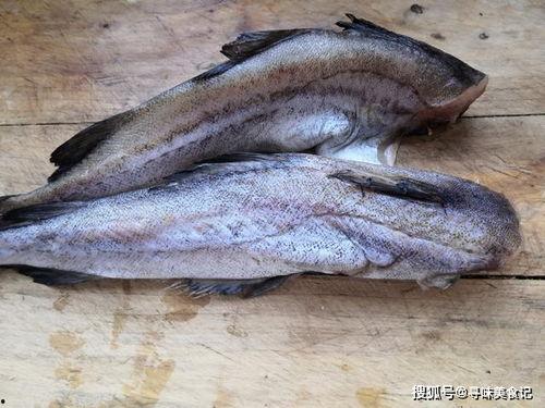 抓鱼吃瓜视频素材无水印,无水印视频素材背后的欢乐时光 抓鱼吃瓜视频素材无水印,无水印视频素材背后的欢乐时光