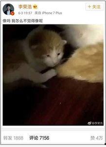 娱乐吃瓜酱小动物视频大全,趣味十足!小动物吃瓜视频大盘点 娱乐吃瓜酱小动物视频大全,趣味十足!小动物吃瓜视频大盘点