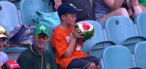 吃瓜群众小男孩视频下载,趣味瞬间捕捉