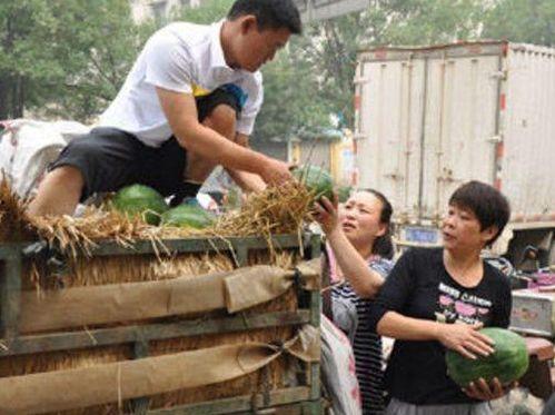 襄县吃瓜事件视频,一场网络热议的真相揭秘